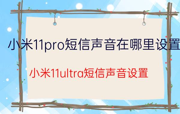 小米11pro短信声音在哪里设置 小米11ultra短信声音设置？